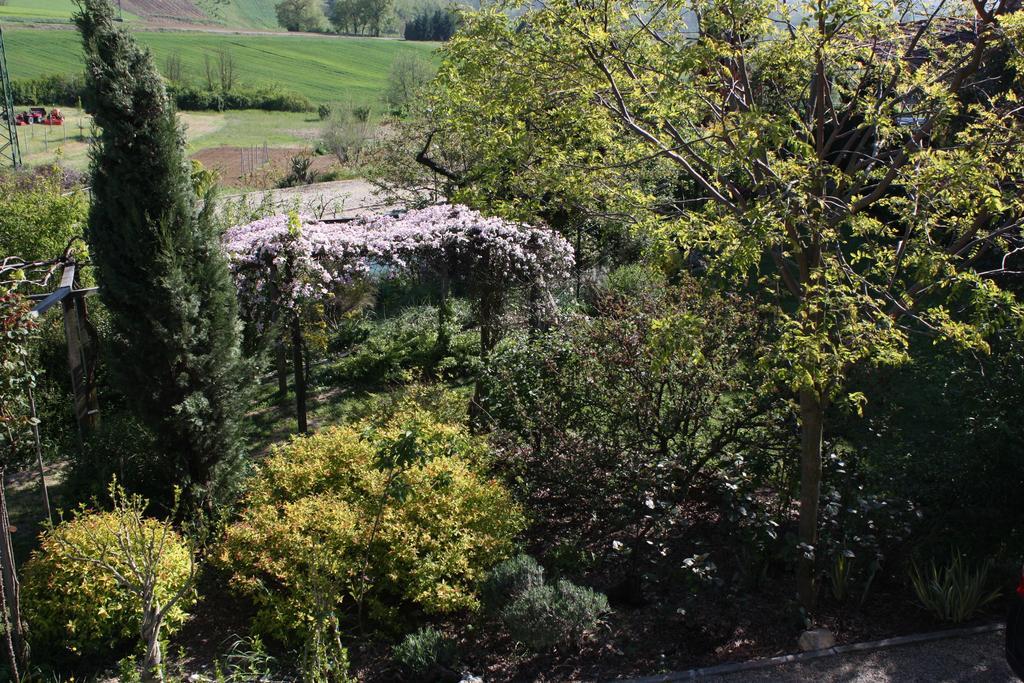 B&B La Casetta Villaromagnano Экстерьер фото
